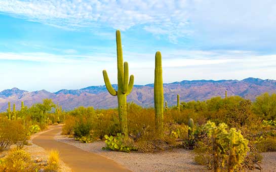 Seguro de viaje a Arizona