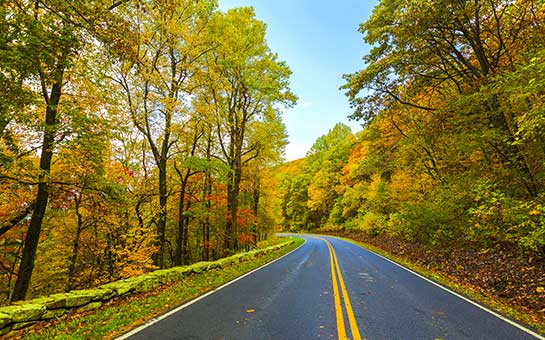 Seguro de viaje al parque nacional Shenandoah